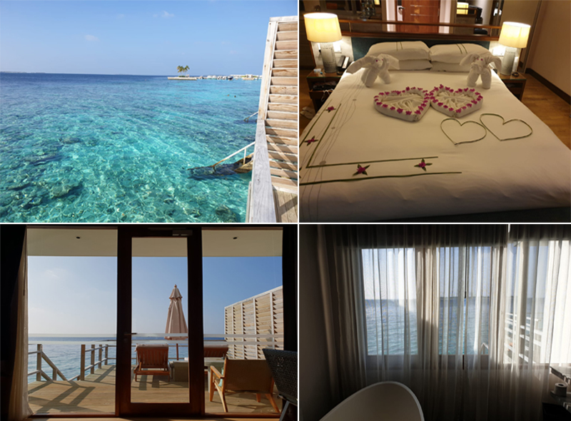 Suavi And Susan South Africa And Maldives Honeymoon Dhigali Hotel Villa