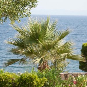 Greece Honeymoon Packages Danai Beach Resort And Villas Botanical Gardens
