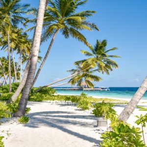 Maldives Honeymoon Packages Reethi Faru Resort Beach