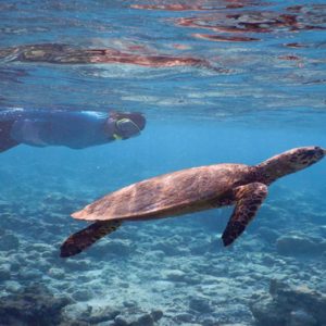 Maldives Honeymoon Packages Reethi Faru Resort Snorkeling