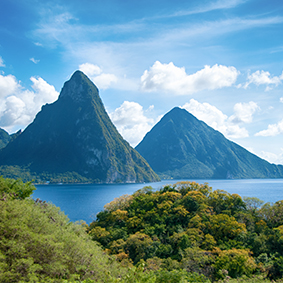 St Lucia Honeymoon Packages Gros Piton Nature Trail Thumbnail