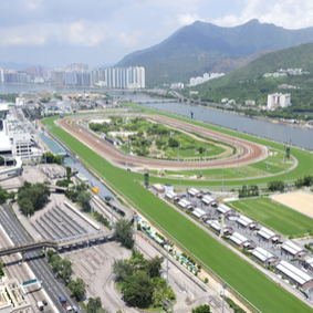 Hong Kong Horse Racing Tour - Hong Kong Honeymoon Packages - Honeymoon Concierge Service