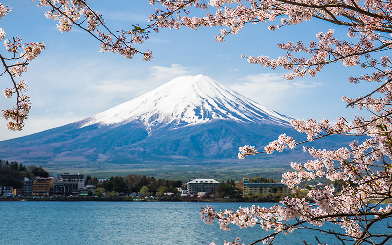 Holly's Japan Experience Mount Fuji