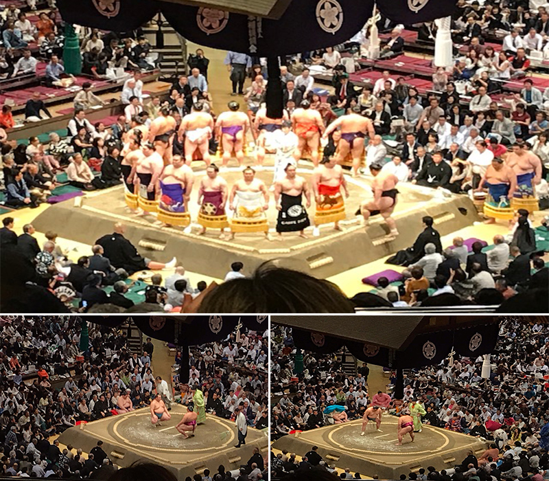 Holly's Japan Experience Sumo Wrestling1
