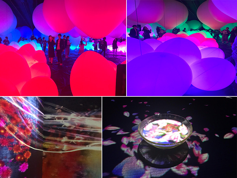 Holly's Japan Experience TeamLab Borderless1