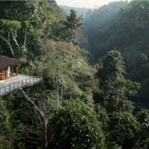 Luxury Bali Honeymoon Packages Kamandalu Ubud Yoga