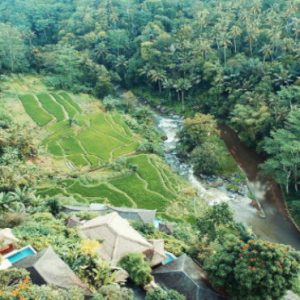 Luxury Bali Honeymoon Packages Kupu Kupu Barong Villas Aerial View