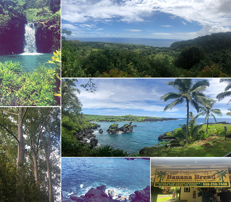 Raj And Karamdip's Hawaii, La And San Fran Honeymoon Blog Road To Hana Excursion