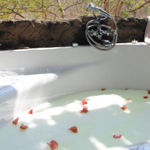 South Africa Honeymoon Packages Thornybush Game Reserve Thornybush Chapungu Tented Bush Camp 2