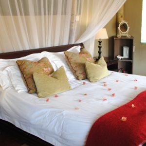 South Africa Honeymoon Packages Thornybush Game Reserve Thornybush Chapungu Tented Bush Camp