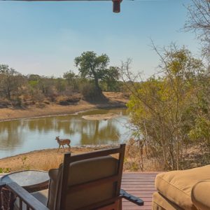 South Africa Honeymoon Packages Thornybush Game Reserve Thornybush Waterbuck Game Lodge 2