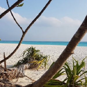 Maldives Honeymoon Packages Hondaafushi Island Resort Beach1