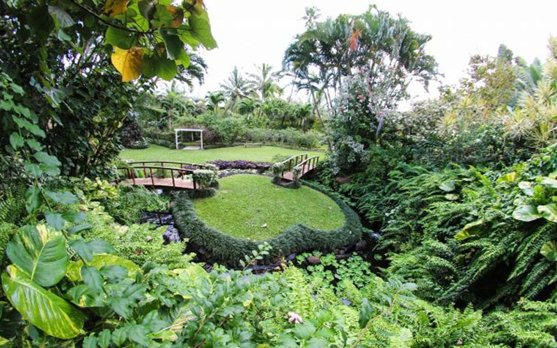 10 Reasons To Visit The Cook Islands Maire Nui Botanical Gardens1