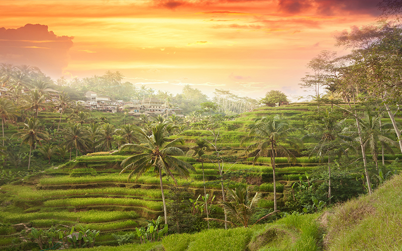 10 Best Places To See The Sun Set Around The World Blog Ubud, Bali