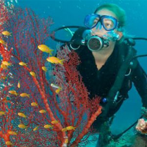 Seychelles Honeymoon Packages STORY Seychelles Deep Sea Scuba Diving