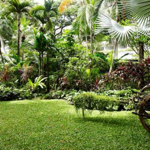 Thailand Honeymoon Packages Anantara Riverside Bangkok Resort Tropical Garden