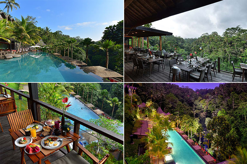 Top Infinity Pool In Bali Jungle Fish Pool Bar And restaurant