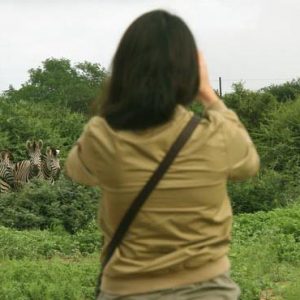 South Africa Honeymoon Packages Elandela Private Game Reserve Game Safari1