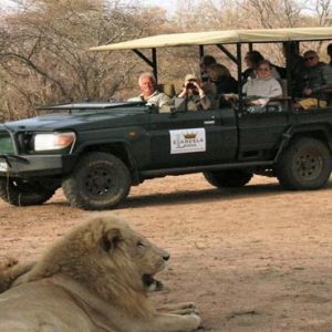 South Africa Honeymoon Packages Elandela Private Game Reserve Game Safari2