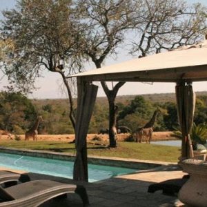 South Africa Honeymoon Packages Elandela Private Game Reserve Pool1