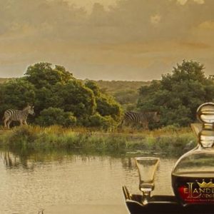 South Africa Honeymoon Packages Elandela Private Game Reserve Safari