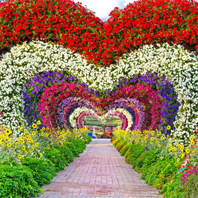 Dubai Honeymoon Packages Dubai Miracle Garden Thumbnail