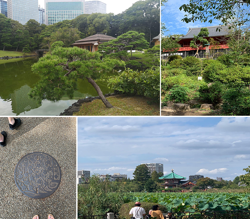 Abbies Japan Trip Day 5 Ueno Park