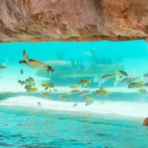 Bahamas Honeymoon Packages Grand Hyatt Baha Mar Underwater Pool