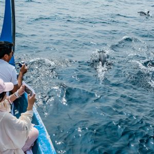 Maldives Honeymoon Packages Fairmont Maldives Sirru Fen Fushi Dolphin Watching