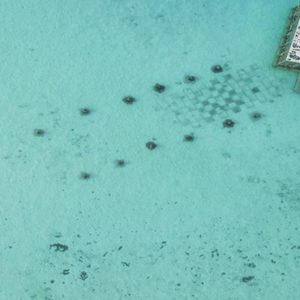 Maldives Honeymoon Packages Fairmont Maldives Sirru Fen Fushi Art Gallery And Watersports Aerial View