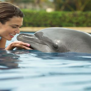 Mexico Honeymoon Packages Secrets Puerto Los Cabos Golf & Spa Resort Dolphin Tours