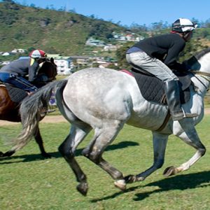 Sri Lanka Honeymoon Packages Jetwing St Andrews Racecourse