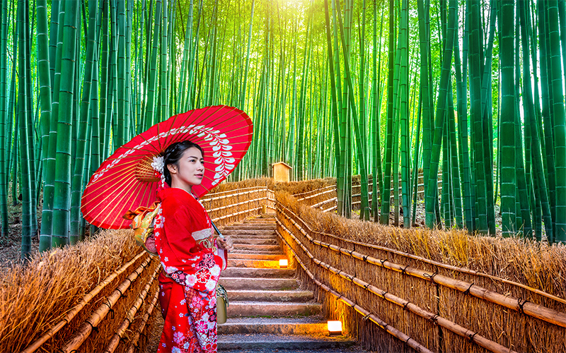 The Best Places To Visit On Your Japan Honeymoon Arashiyama Bamboo Forest