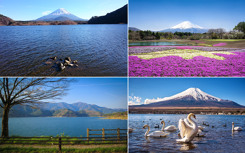 The Best Places To Visit On Your Japan Honeymoon Fuji Five Lakes