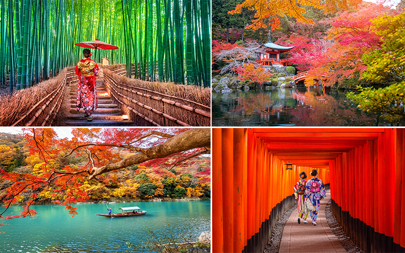 The Best Places To Visit On Your Japan Honeymoon Kyoto