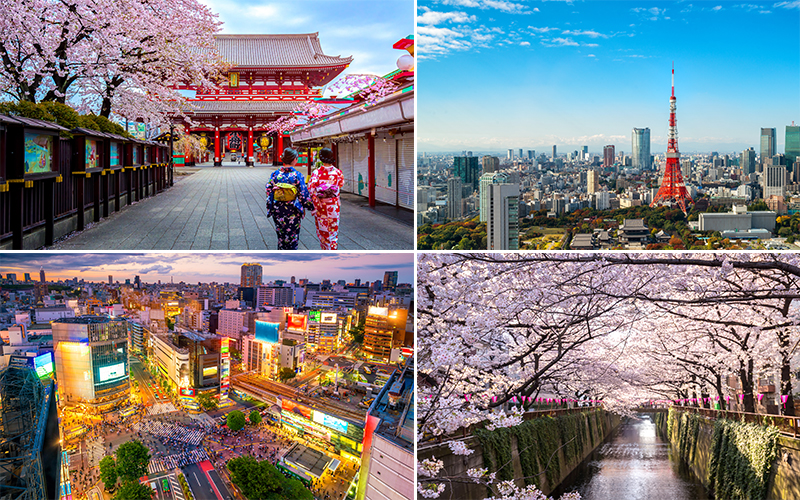 The Best Places To Visit On Your Japan Honeymoon Tokyo