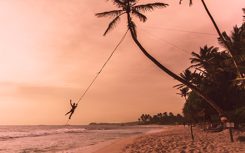 Top Instagrammable Spots In Sri Lanka Palm Tree Swings