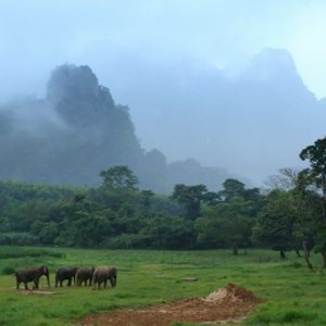 Thailand Honeymoon Packages Elephant Hills Elephants Roaming