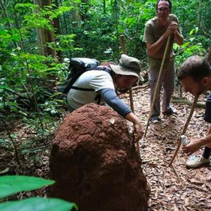 Thailand Honeymoon Packages Elephant Hills Hiking 2