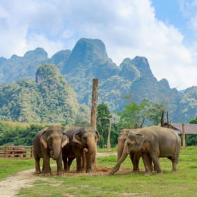 Thailand Honeymoon Packages Elephant Hills Thumbnail2