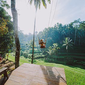 Best Of Ubud Tour With Jungle Swing Thumbnail