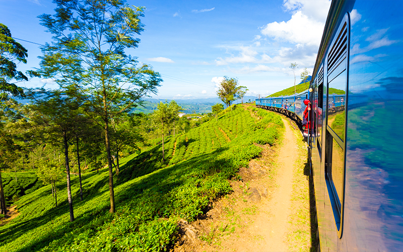 Day Excursions To Horton Plains & Local Train Experience From Ella Main