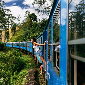 Day Excursions To Horton Plains & Local Train Experience From Ella Thumbnail