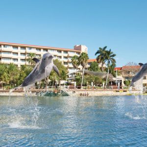 Mexico Honeymoon Packages Dreams Aventuras Riviera Maya Dolphin Dreams By Dolphin Discovery