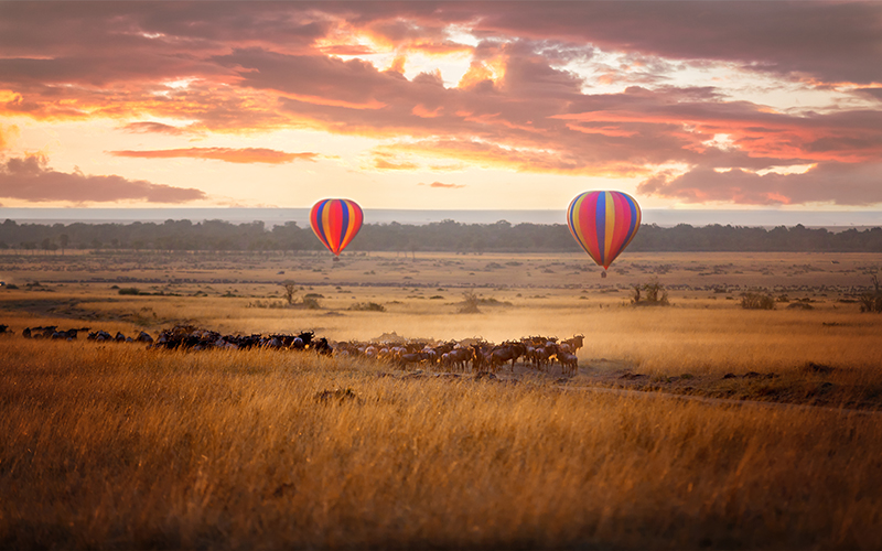 The Most Romantic Hot Air Balloon Rides In The World Blog Masai Mara Nature Reserve, Kenya