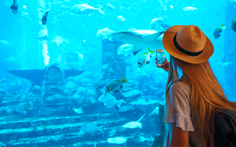 Top 10 Free Things To Do In Dubai On Your Honeymoon Blog Dubai Aquarium