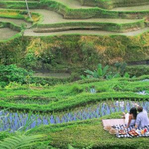 Bali Honeymoon Packages The Kayon Resort By Pramana Couple By The Rice Paddies