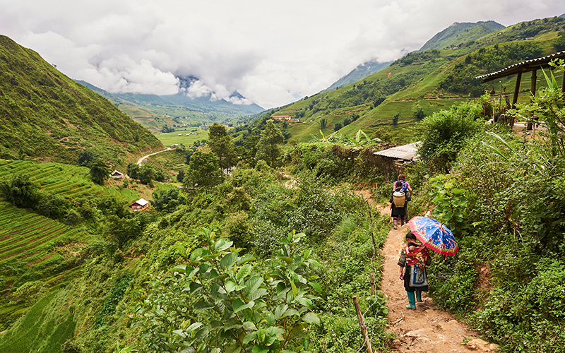 Explore Breathtaking Rice Terraces At Muong Hoa Valley Main