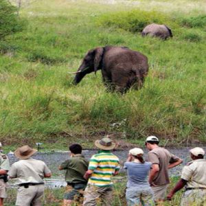 Guided Bush Walks Kapama Private Game Reserve South Africa Honeymoons