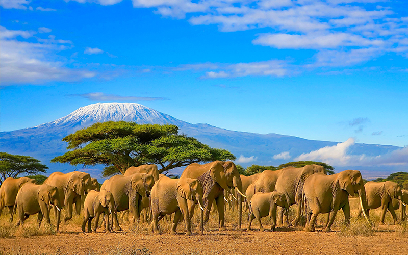 Kenya Best Honeymoon Destinations For 2021